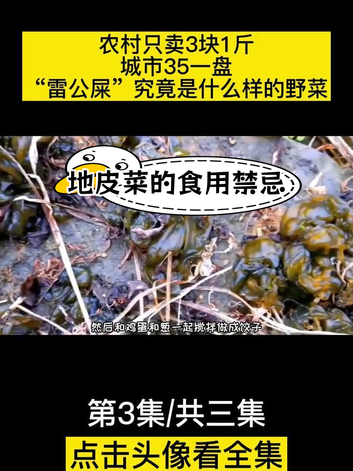 雷公屎:城市与农村的差异