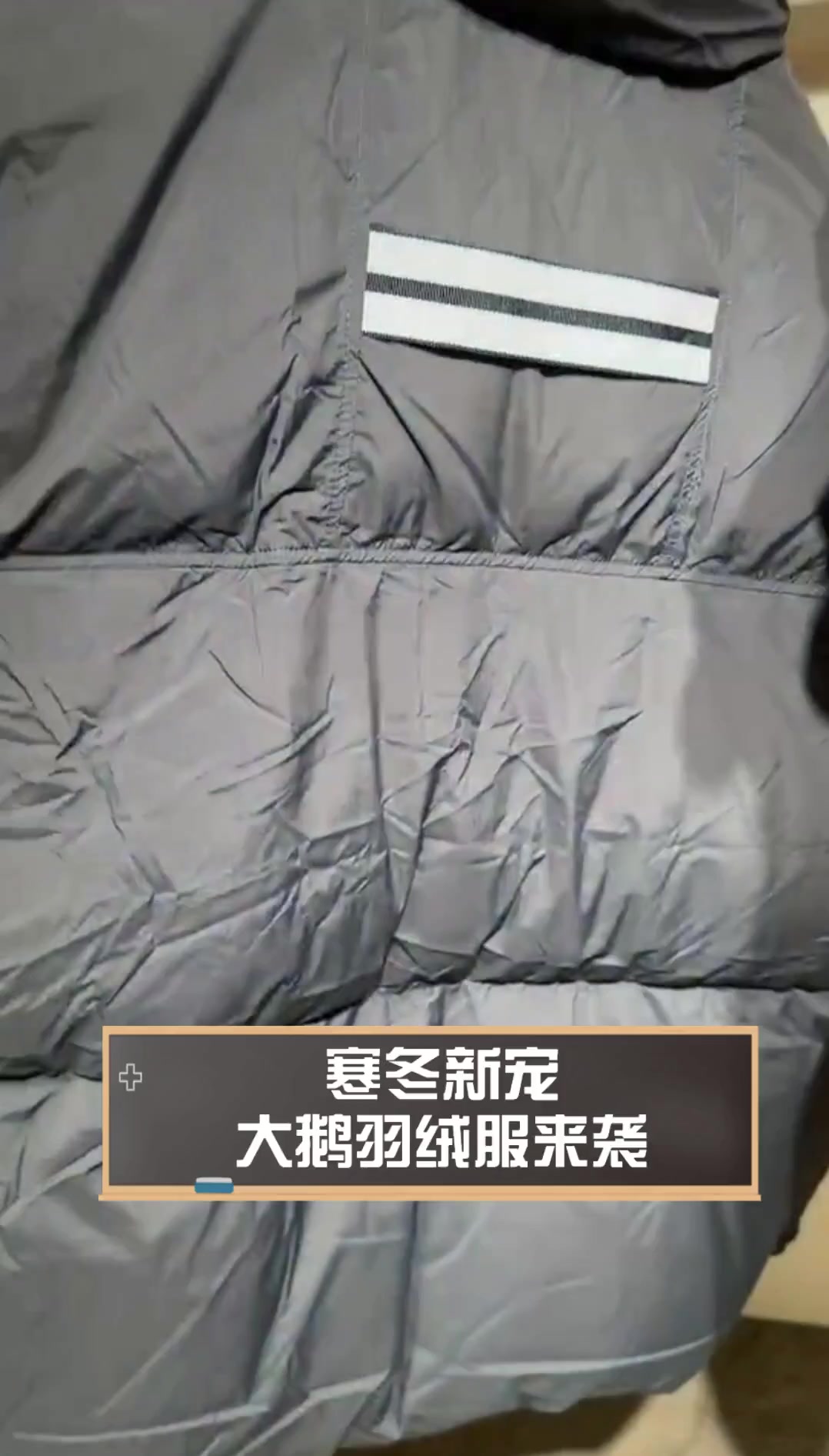寒冬新宠,大鹅羽绒服来袭