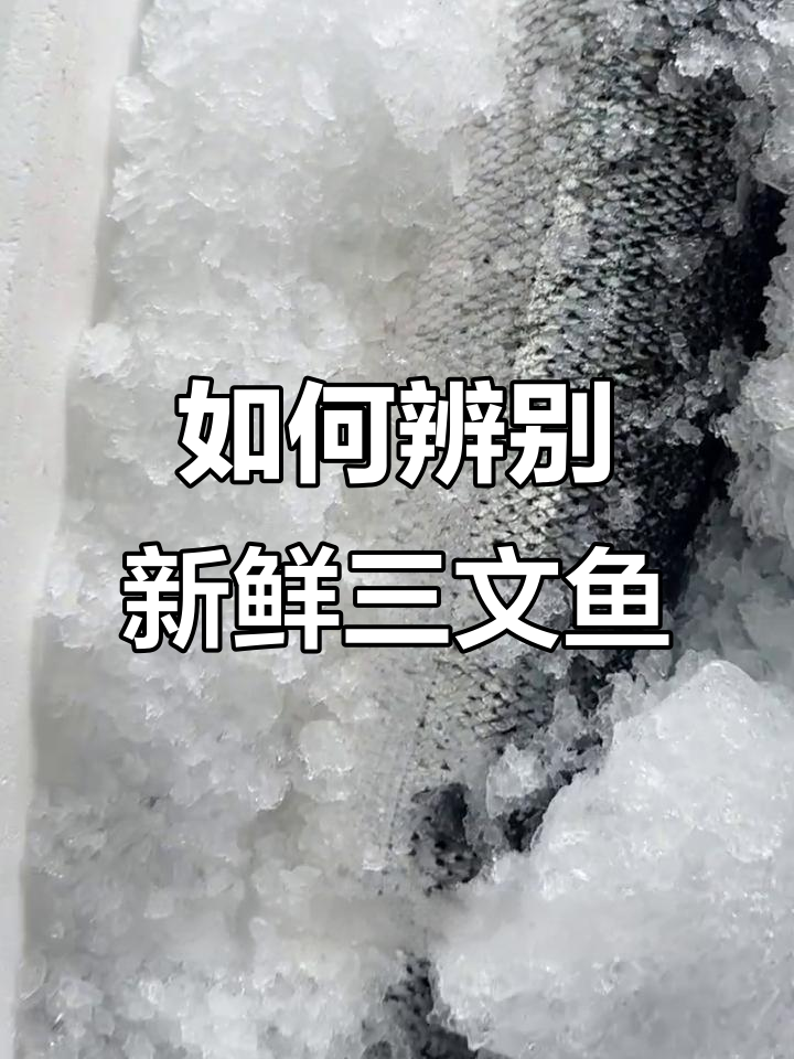 新鲜挪威三文鱼如何判断?教你分辨捕捞日期和有效期