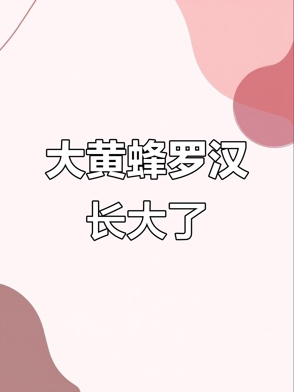 25公分大黄蜂古典罗汉成长记,养鱼日记大揭秘