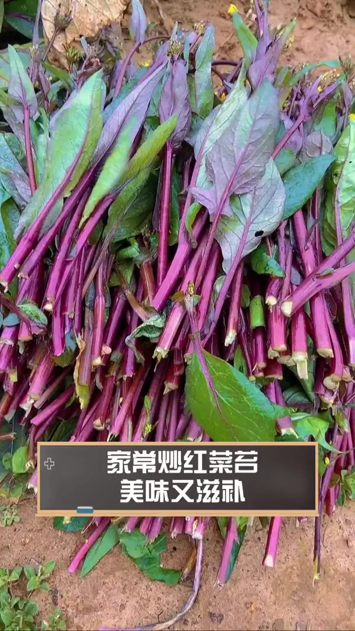 家常炒红菜苔,美味又滋补