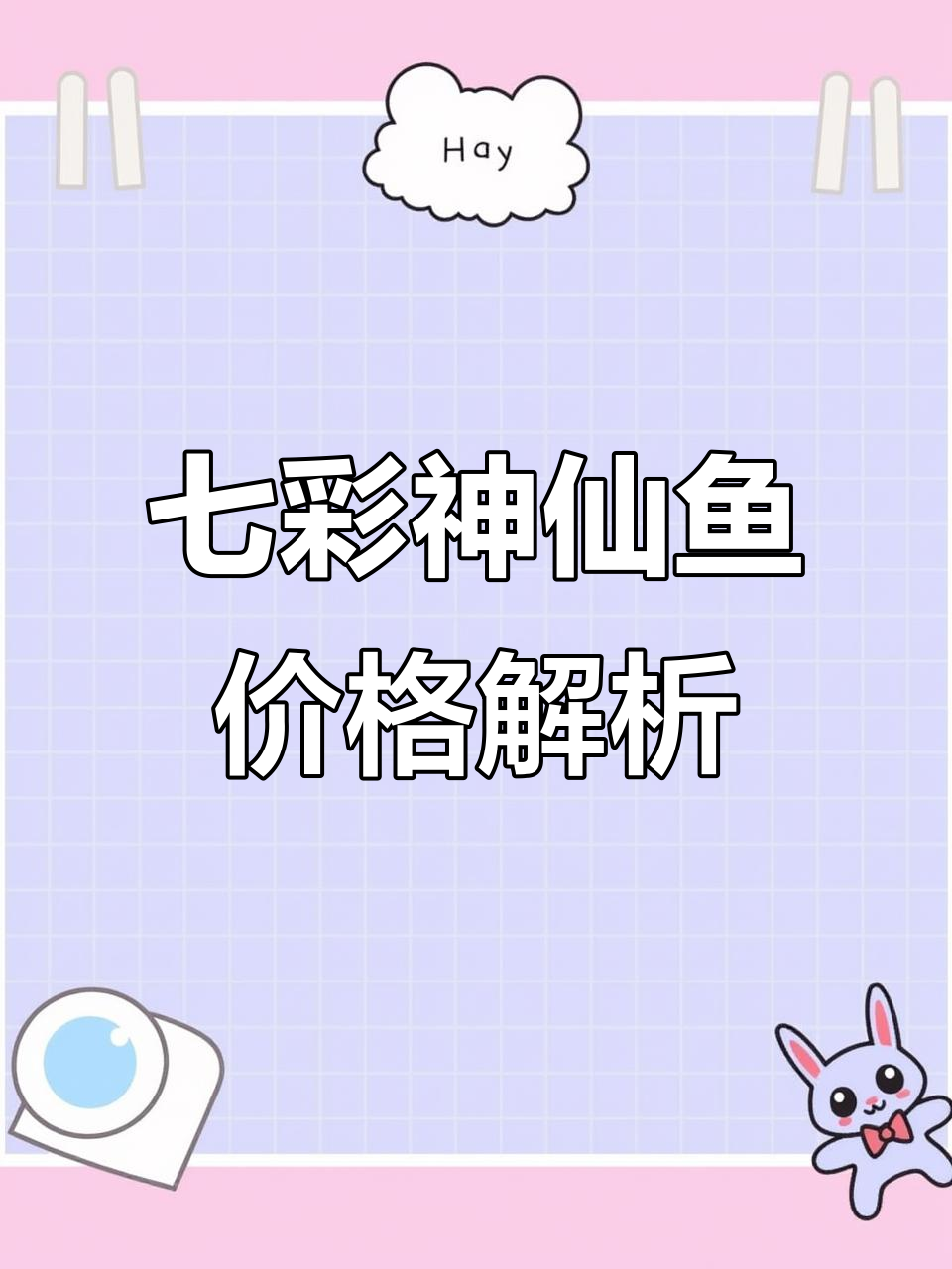 水族批发市场探秘:七彩神仙鱼价格大揭秘