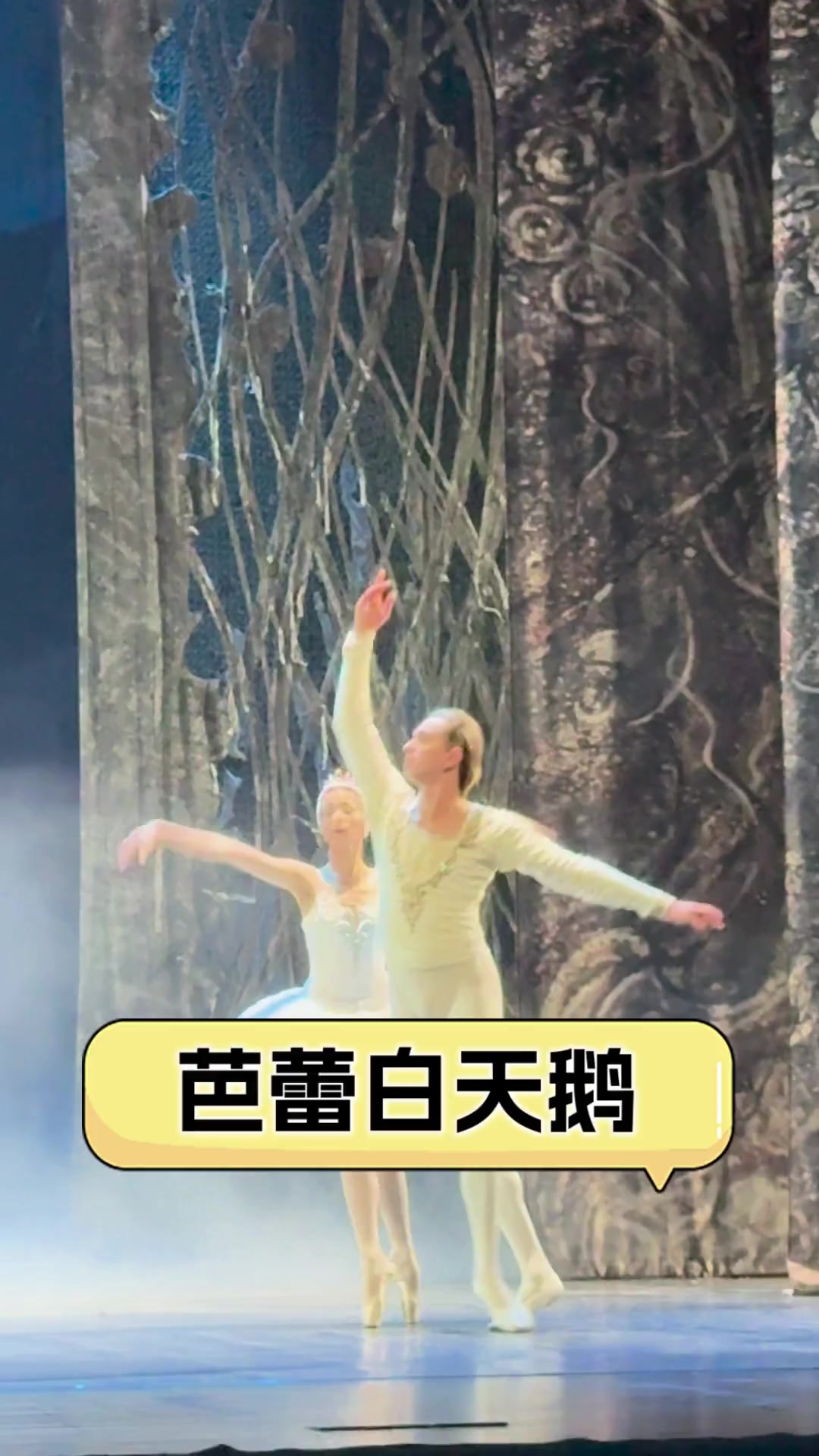芭蕾白天鹅