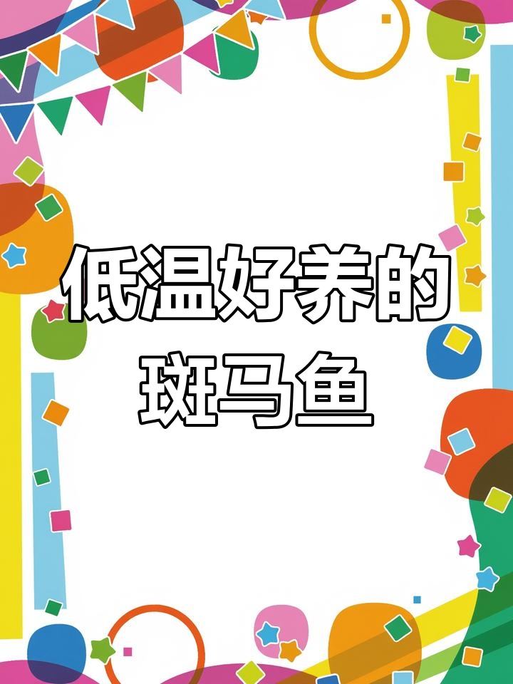 秋冬耐低温观赏鱼推荐,几毛钱就能买到斑马鱼