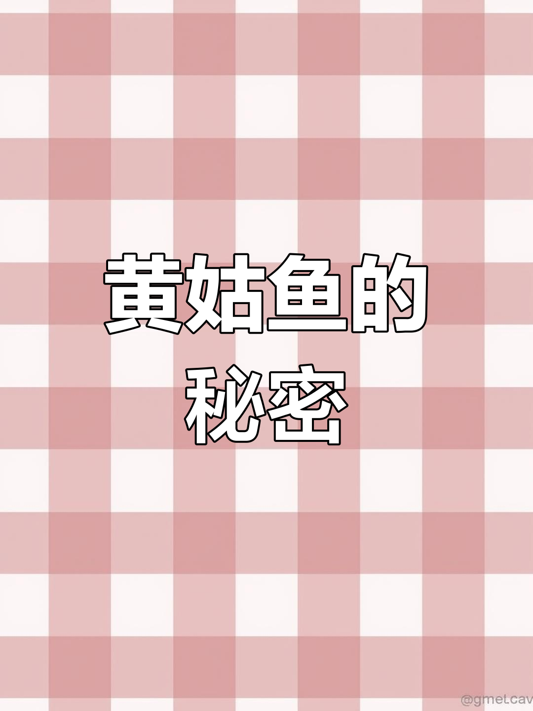 潮汕渔民珍视的黄姑鱼,陈年野生鱼鳔价值高