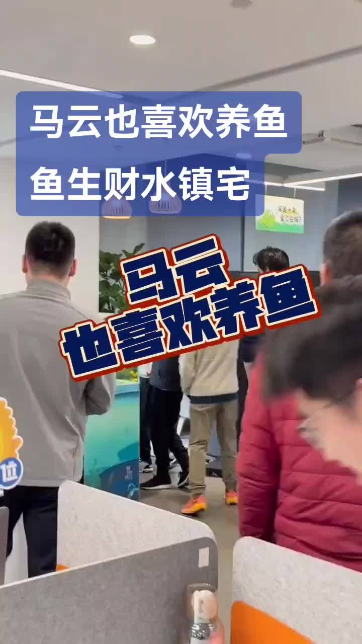马云也喜欢养鱼,鱼生财水镇宅朽 杨凌可丽爱鱼缸 鱼闻天下