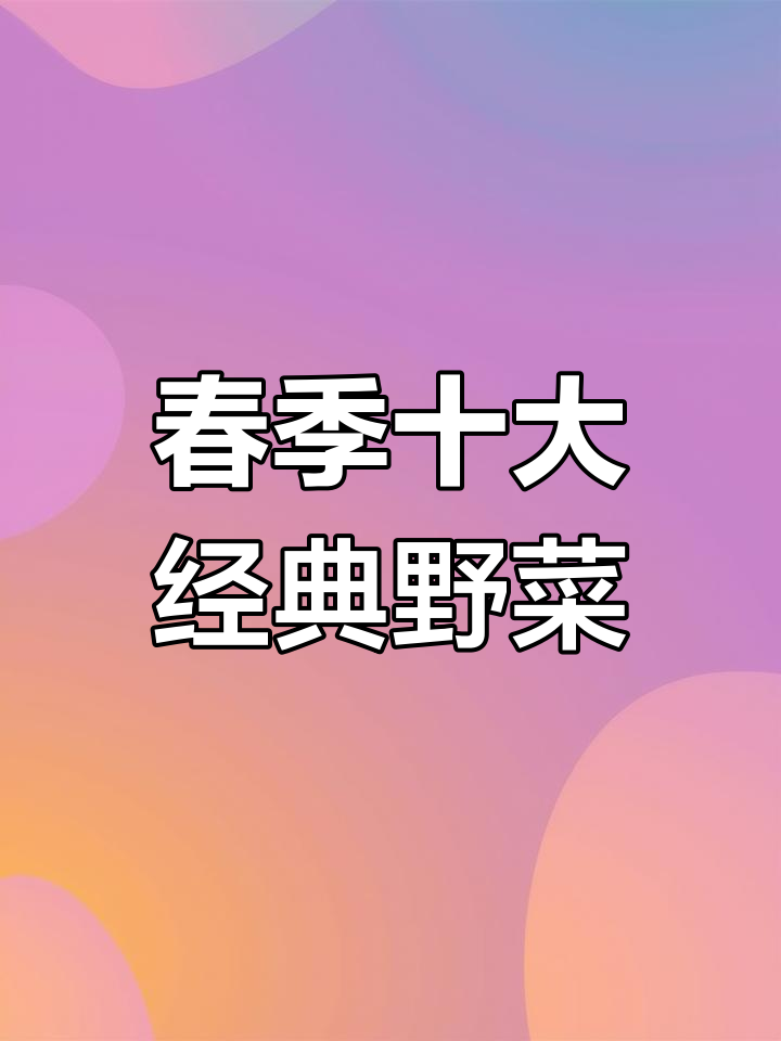 春天必吃野菜大揭秘,这些你都尝过吗?