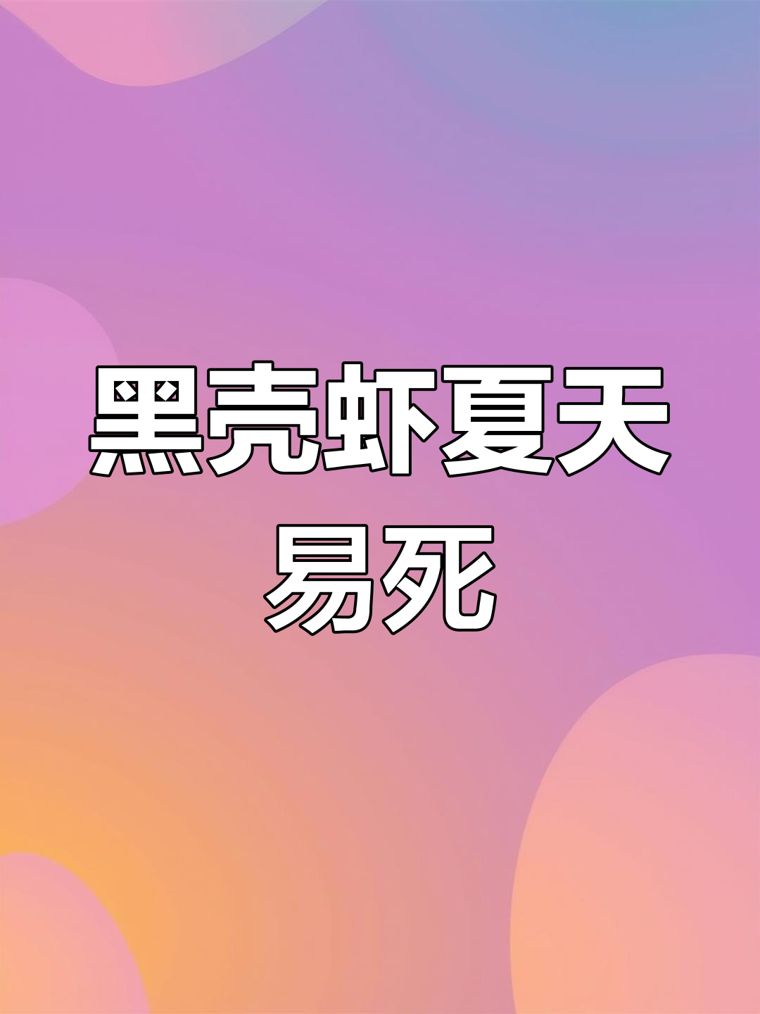 夏季黑壳虾死亡原因解析