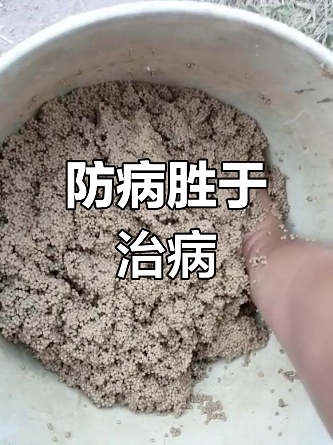 塘角鱼养殖技巧:预防疾病比治疗更重要