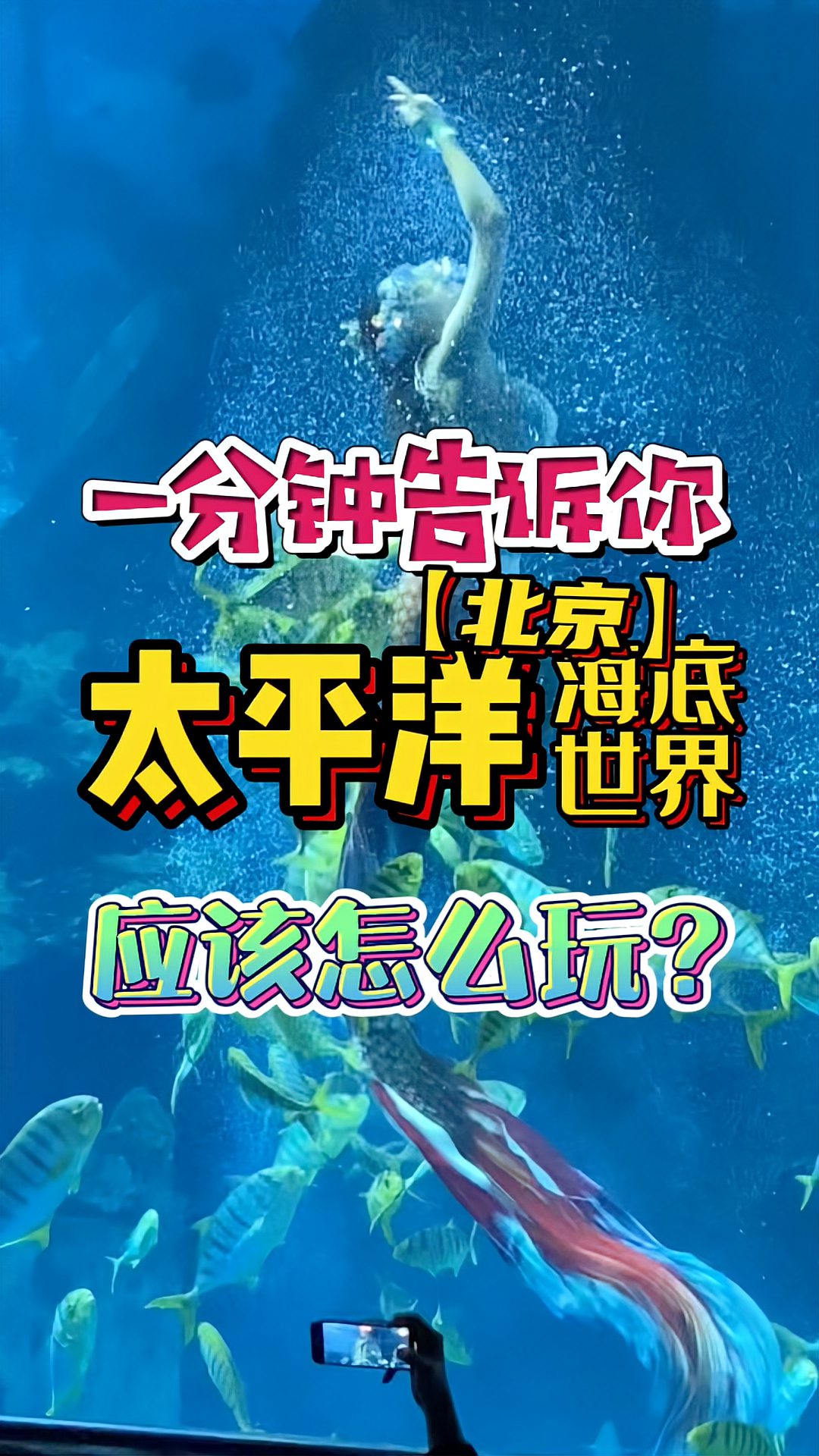 宝爸宝妈寒假遛娃！第一次来北京太平洋海底世界，应该怎么玩？