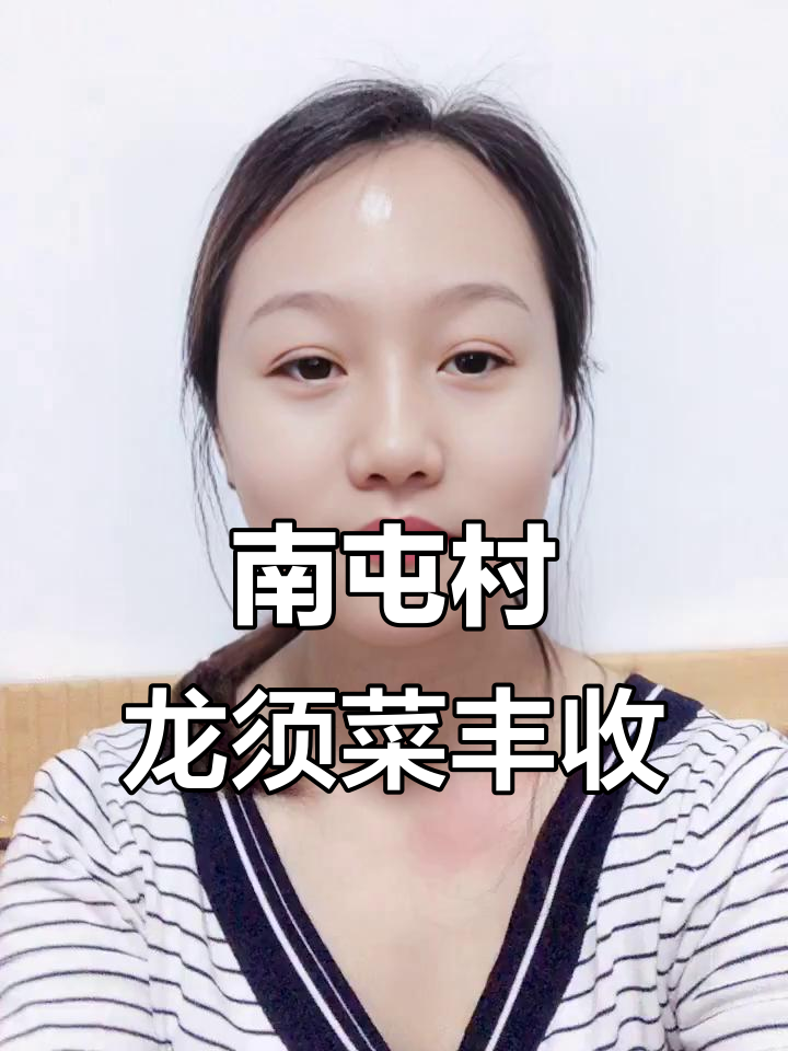 南屯村百亩龙须菜丰收，绿色无公害品质获赞