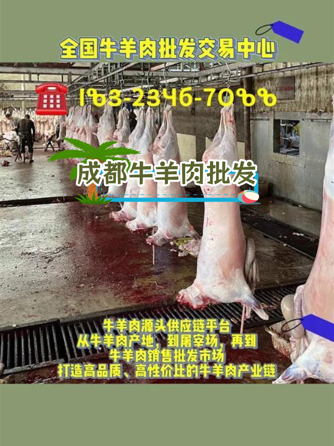 成都牛羊肉批发市场一手货源,全国发货厂家直销