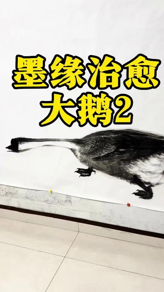 墨缘治愈大鹅