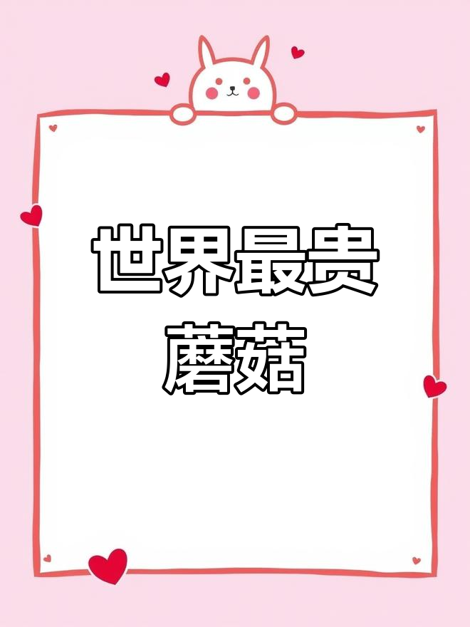 法国黑松露:世界上最昂贵的蘑菇