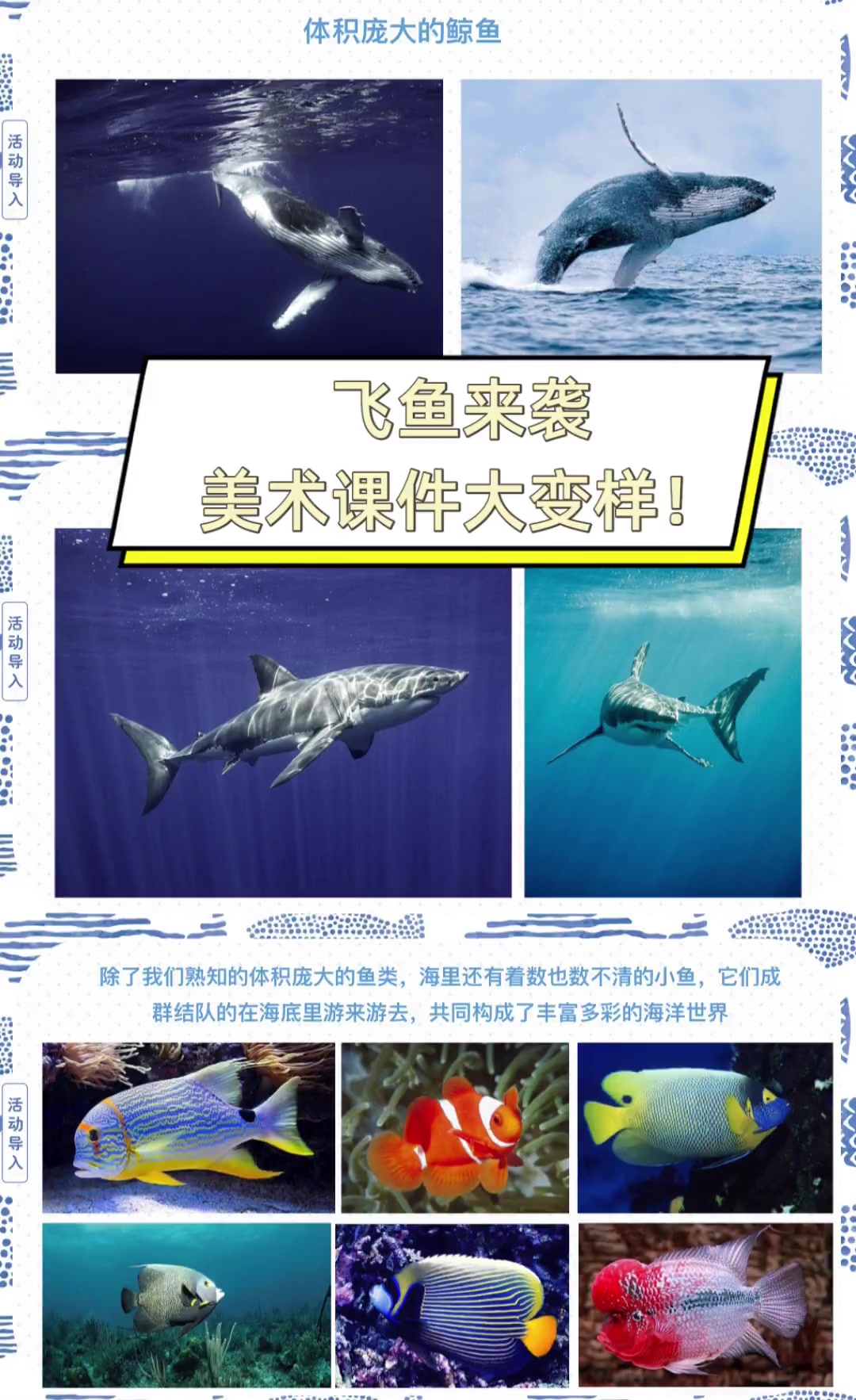 飞鱼来袭,美术课件大变样!