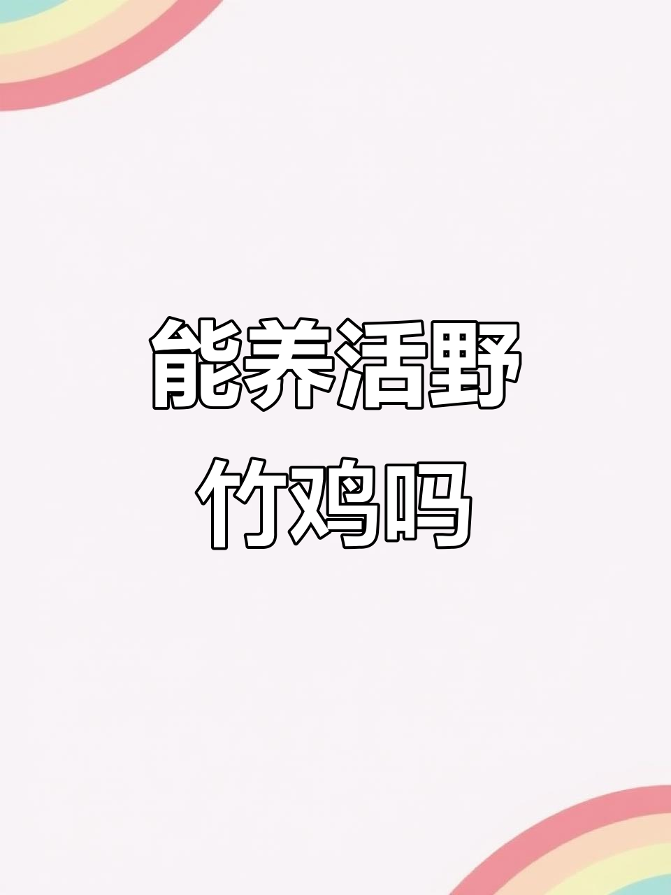 野竹鸡能人工饲养吗?