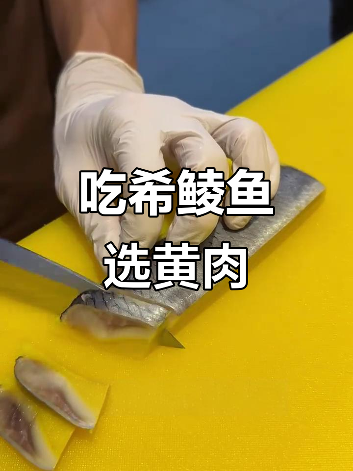 希鲮鱼刺身,黄色才是正宗味!