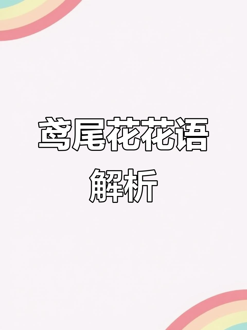 鸢尾花的花语:爱与幸运常伴春光,默默守护的深情