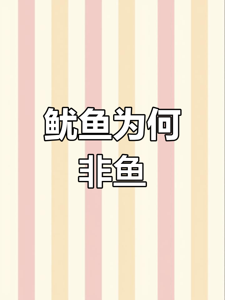 为什么鱿鱼不是鱼类?揭秘生物分类与特征差异