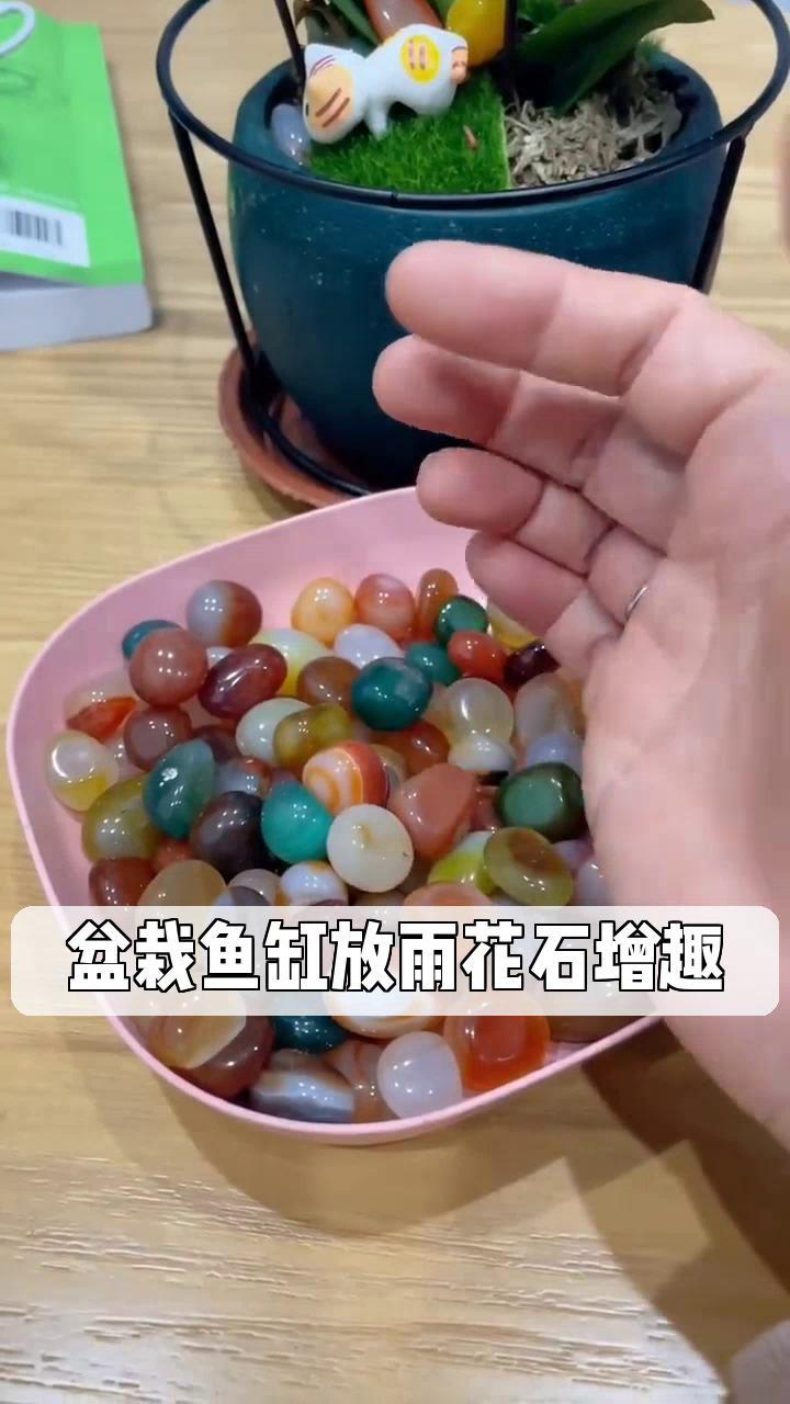 盆栽鱼缸放雨花石增趣