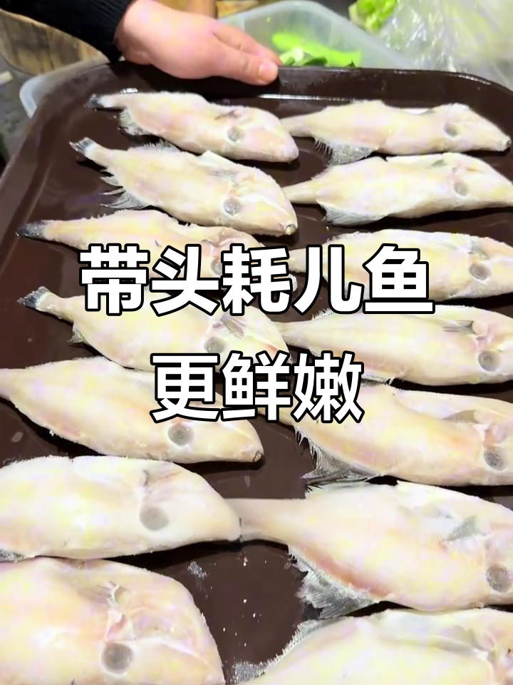 火锅店为何都选无头耗儿鱼?带头的才是最鲜嫩的!