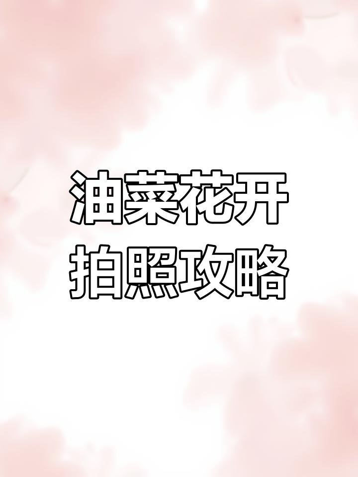 油菜花地拍摄技巧大揭秘,侧逆光拍出美丽照片