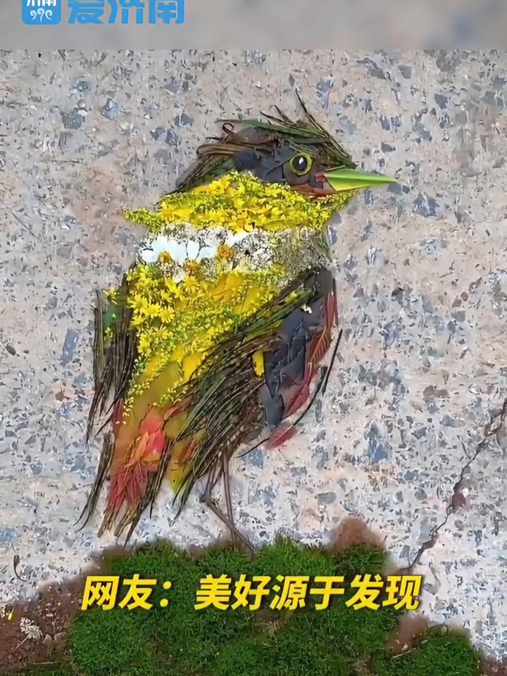 真·手艺人!男子用植物拼出栩栩如生飞鸟 这些植物你认识吗 是时候展现真正的技术了 五彩斑斓