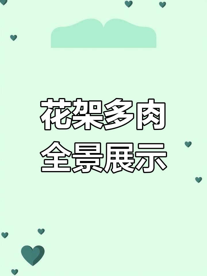 多肉花架大揭秘,韩国锦肉与藤心类全展示