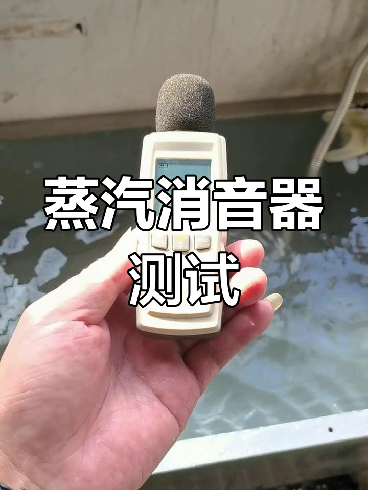 蒸汽消音器效果实测,多少分贝才合格?