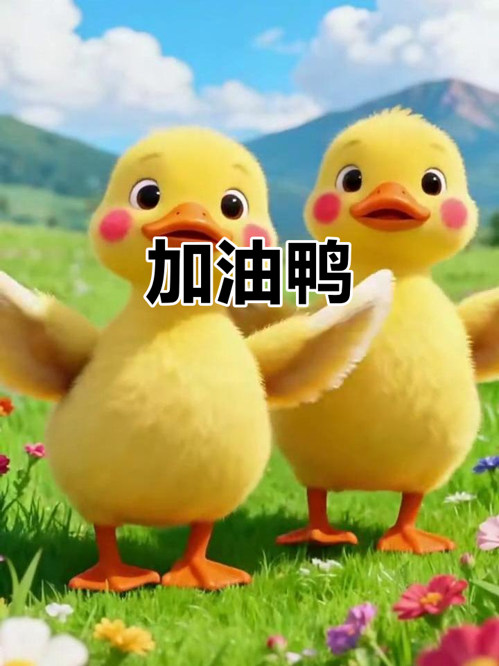 加油鸭,一起努力!