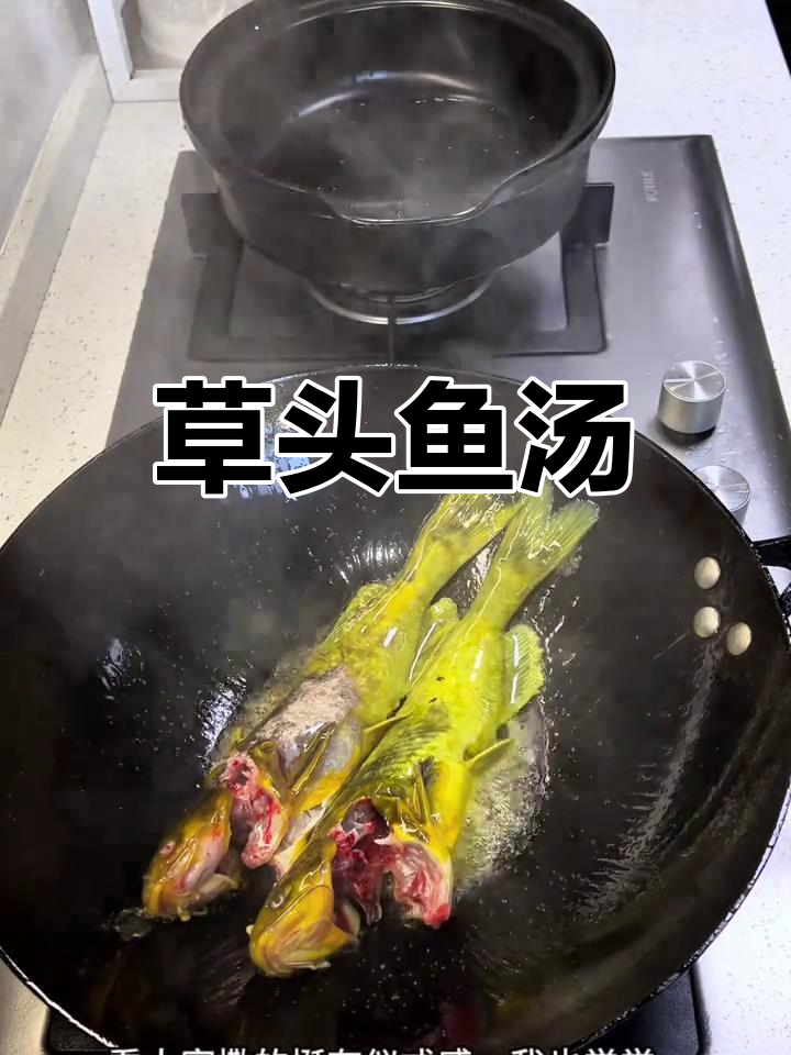 草头鱼汤,家常美味新做法