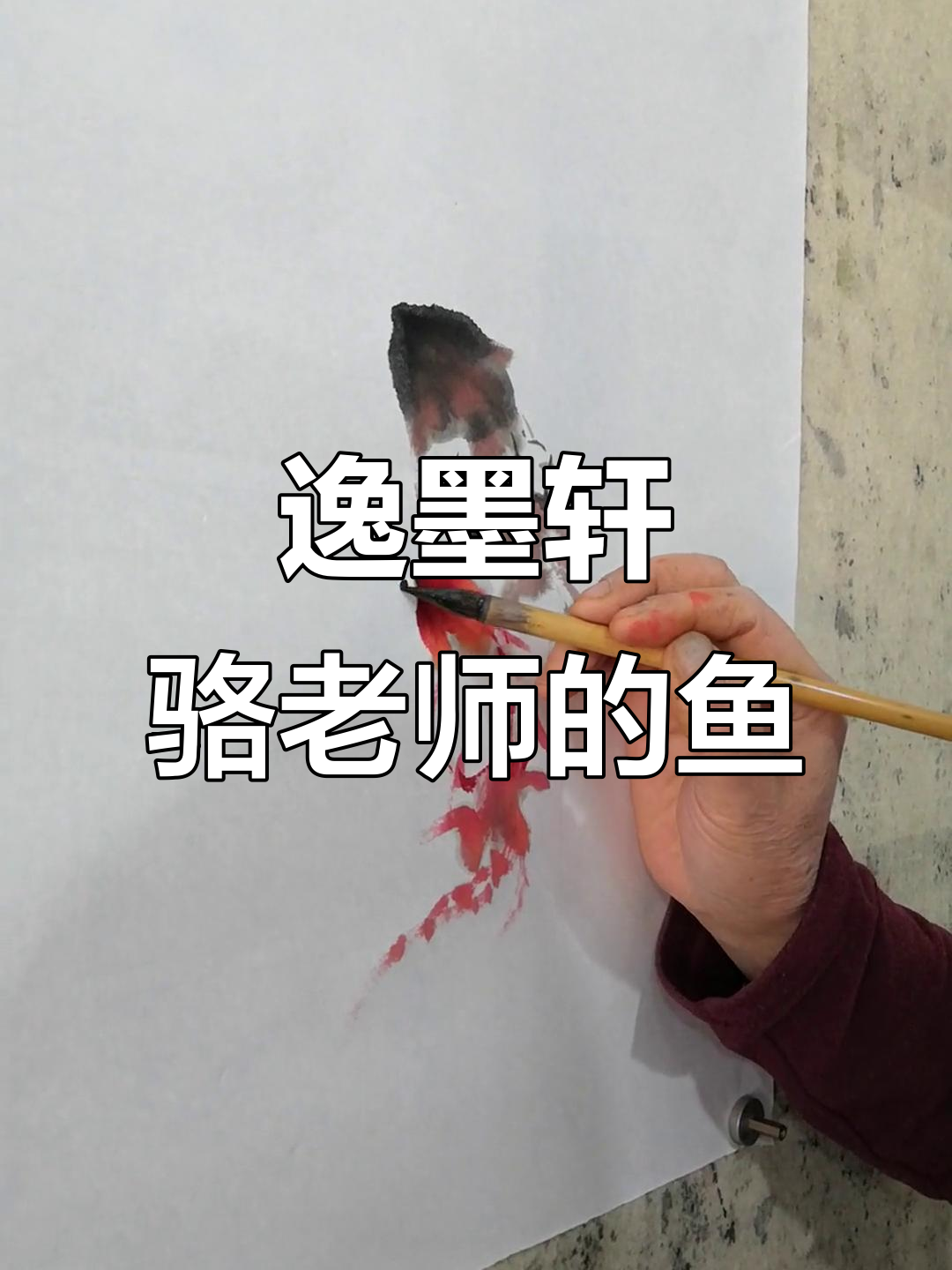 骆孝敏老师画鱼,黑眼红翅的独特风格