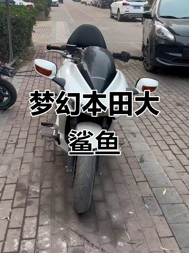 本田梦幻大鲨鱼,收藏级机车等你来选