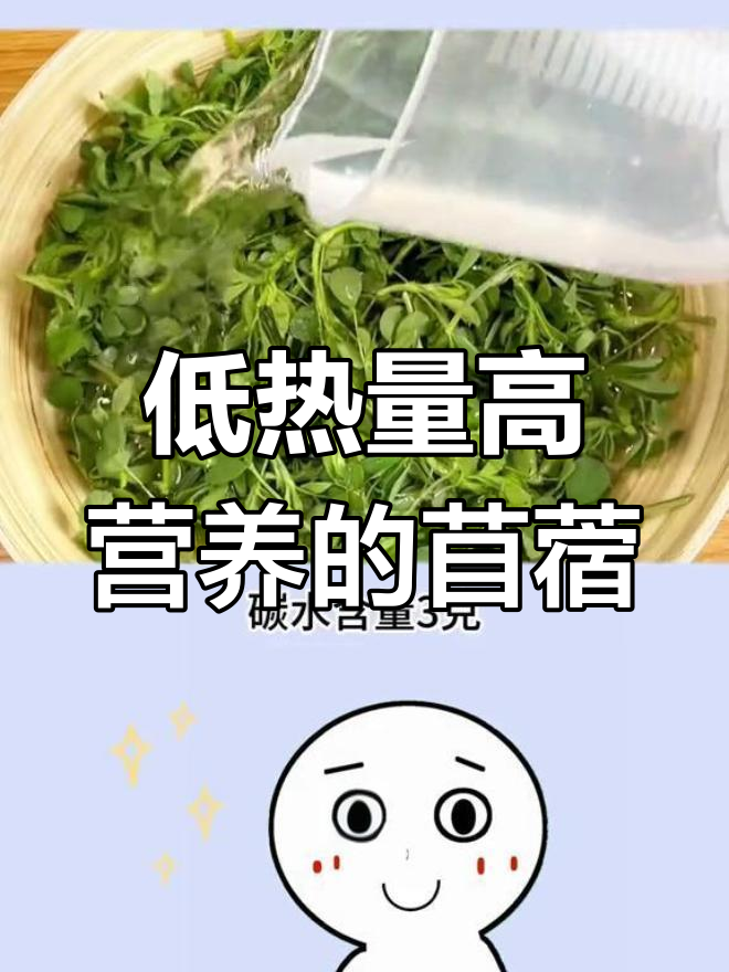 春季野菜中的低卡美味,苜蓿的营养价值解析