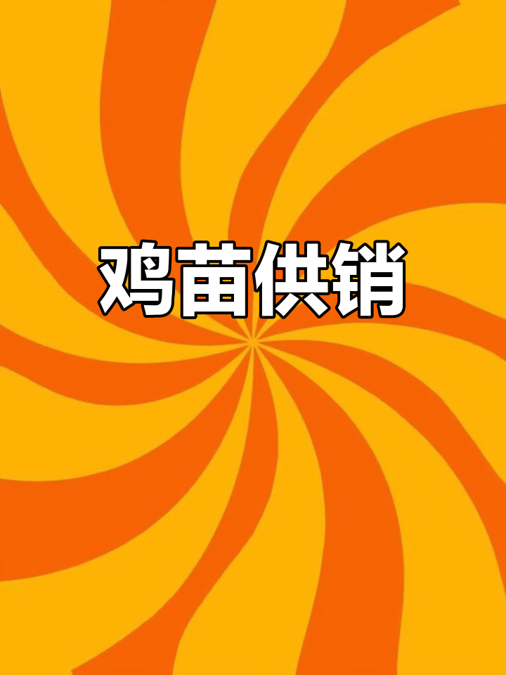 供应各种优质鸡苗,包括柴鸡、绿壳乌骨等