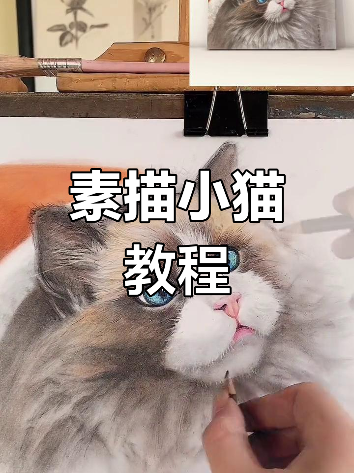 用素描技巧画出彩色小猫咪,步骤详解教你轻松上手