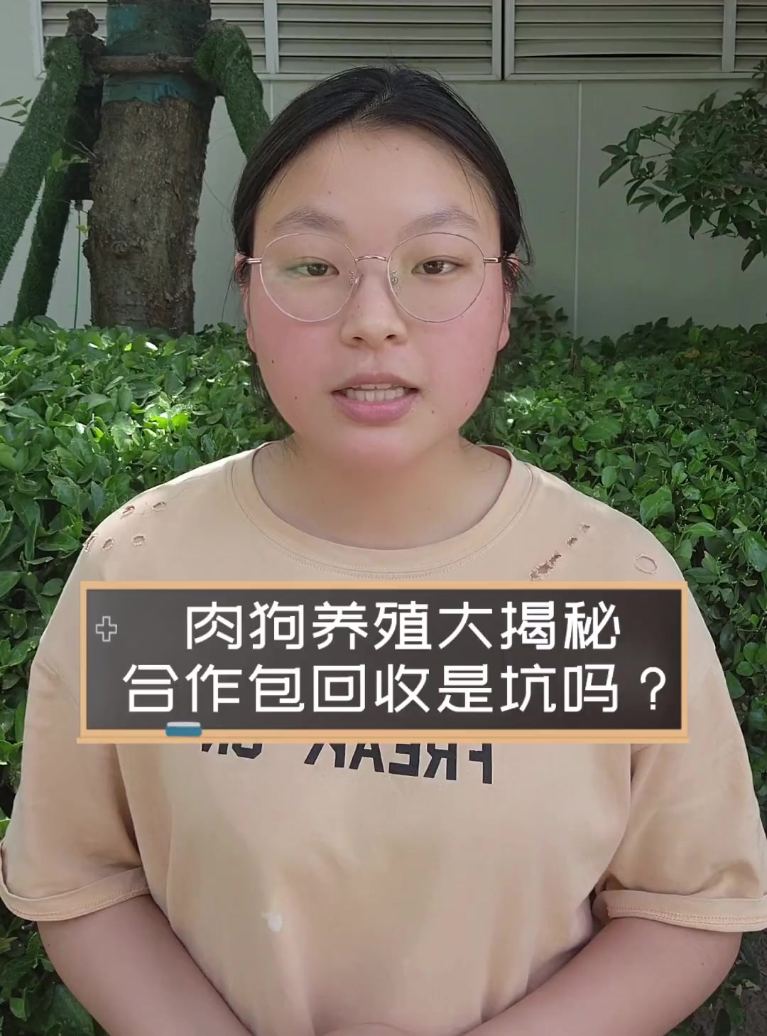 肉狗养殖大揭秘,合作包回收是坑吗?