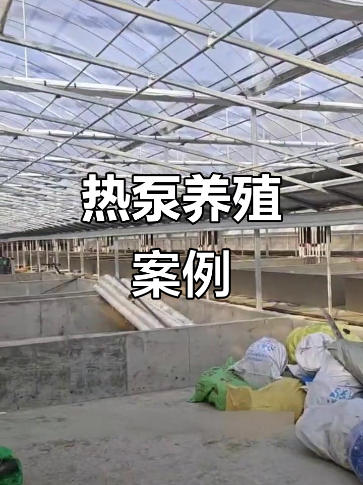 高密度养殖鲈鱼对虾,水源热泵助力加温