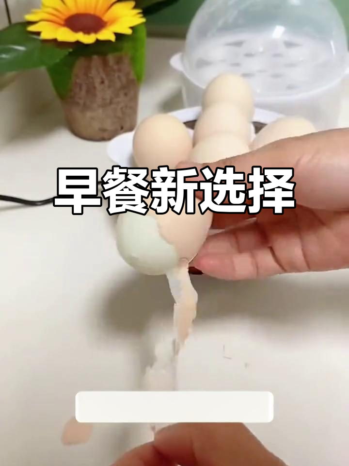 告别锅煮,蒸蛋器让早餐更省事,热牛奶包子一机搞定!