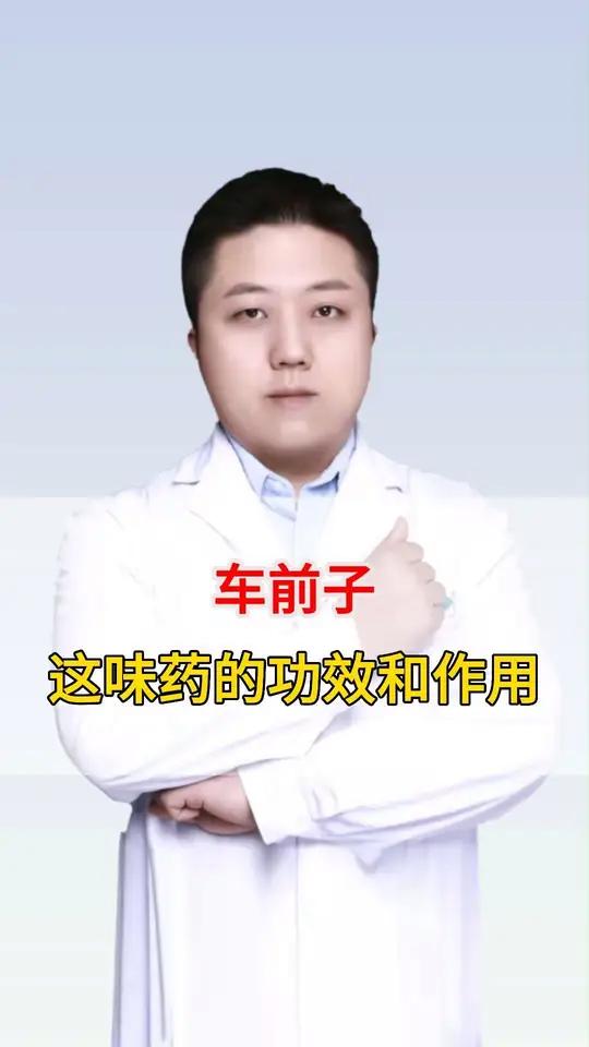 车前子这味药的功效和作用
