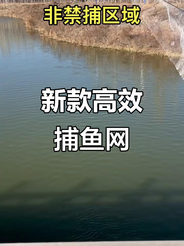 新型捕鱼网，轻松捕捉大丰收