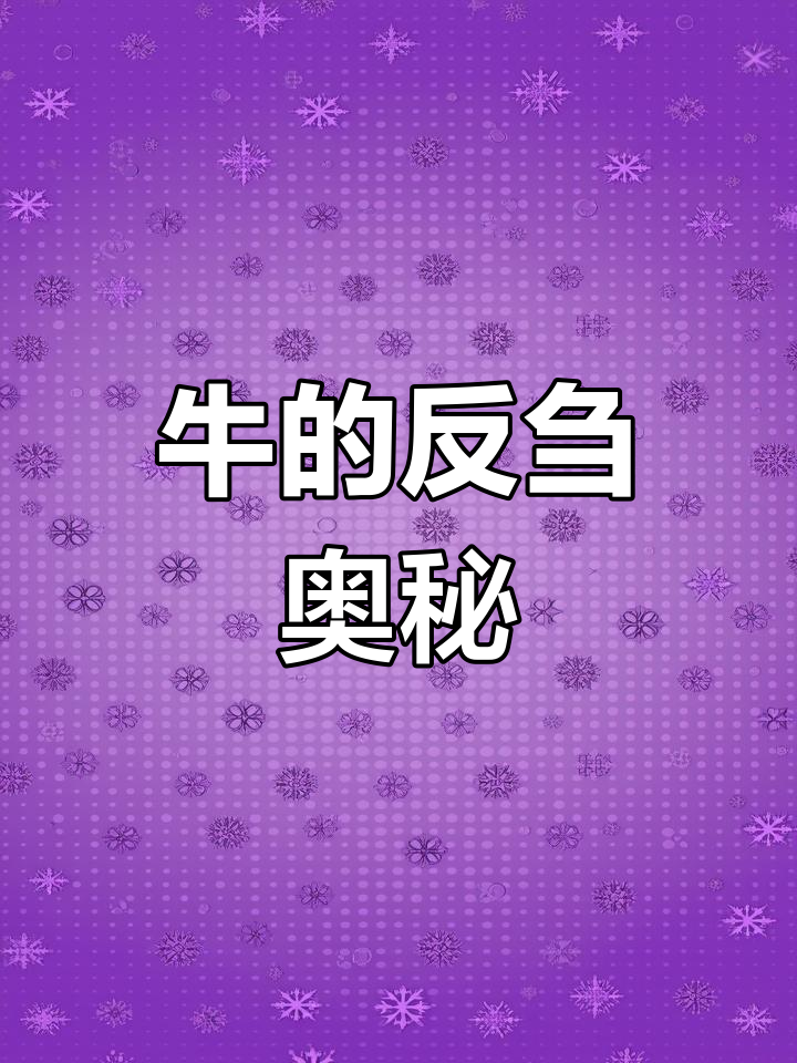 牛的独特消化系统揭秘