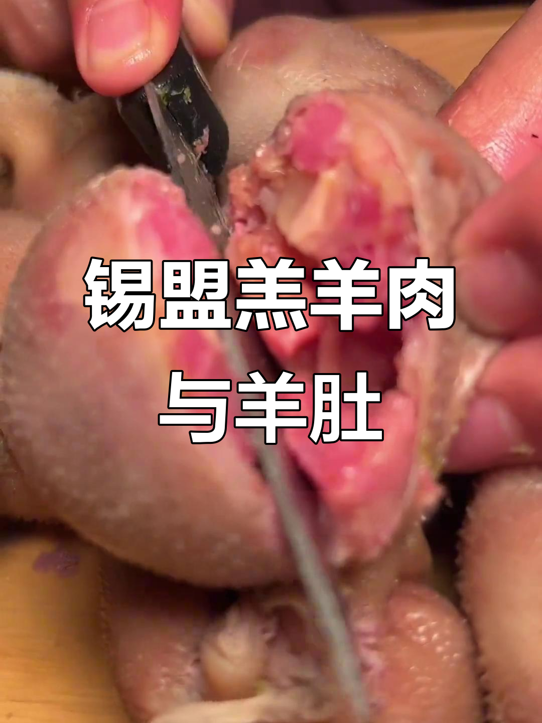 锡盟羔羊肉鲜嫩,羊肚Q弹拉丝,老少皆宜的美味享受
