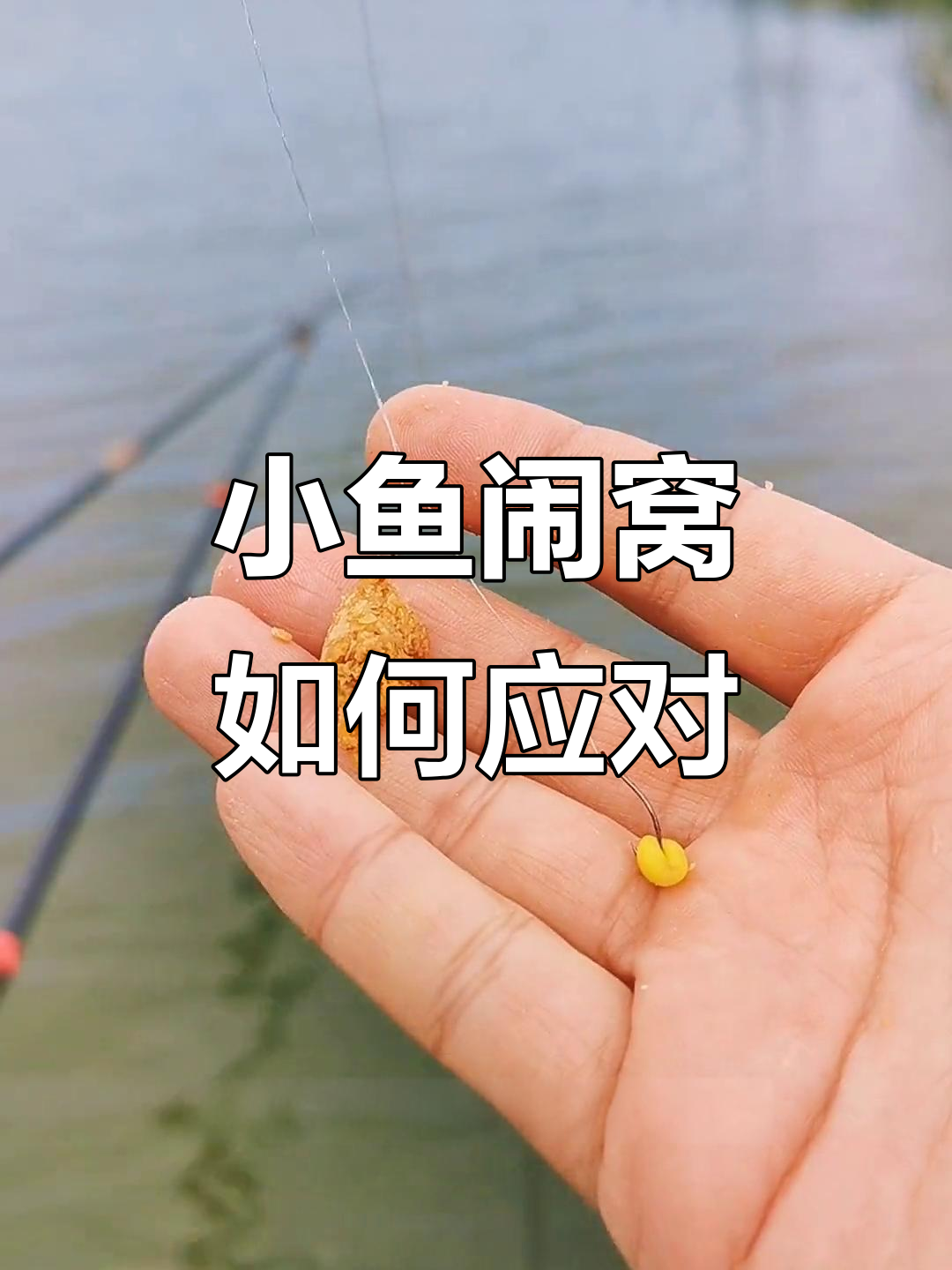 秋季野钓大板鲫,小鱼闹窝怎么办?这些技巧让你避免困扰