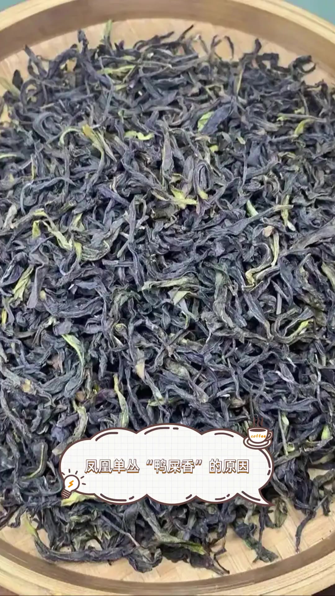 凤凰单丛“鸭屎香”的原因