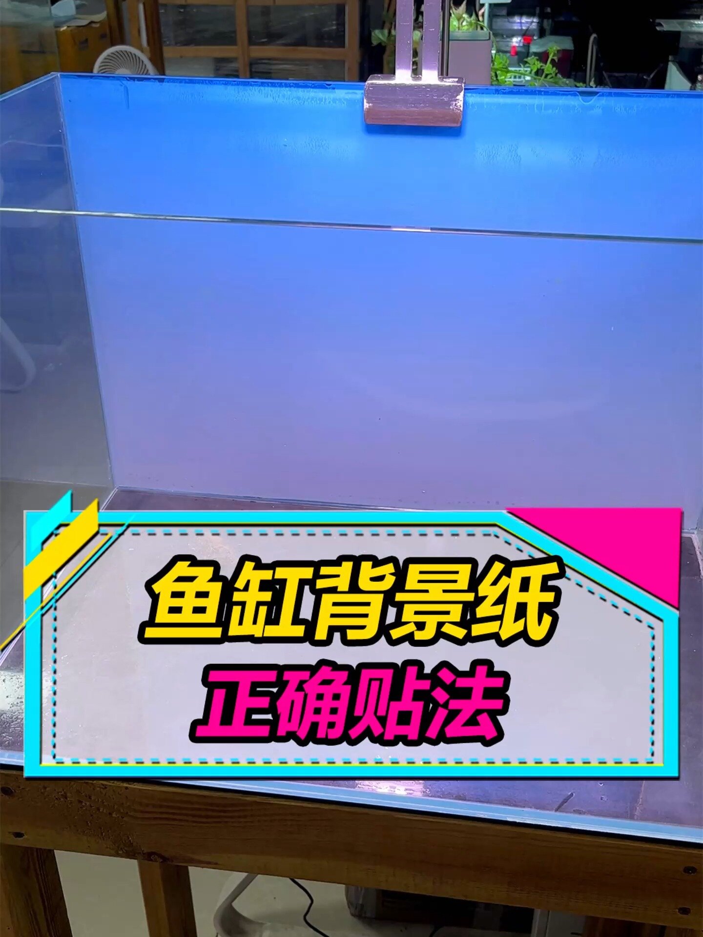 如何正确粘贴鱼缸背景纸?分5步完成~