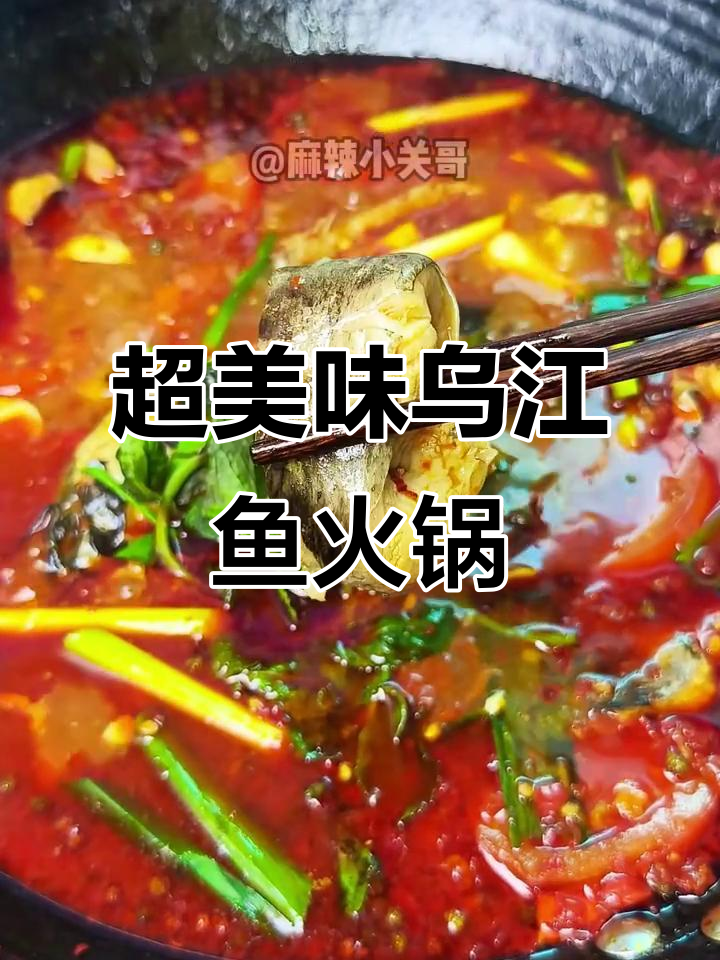 乌江鱼火锅,香辣鲜嫩入口即化,做法超简单!