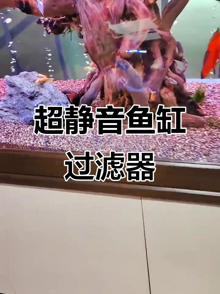 静音鱼缸过滤系统揭秘,完美解决水族箱噪音问题