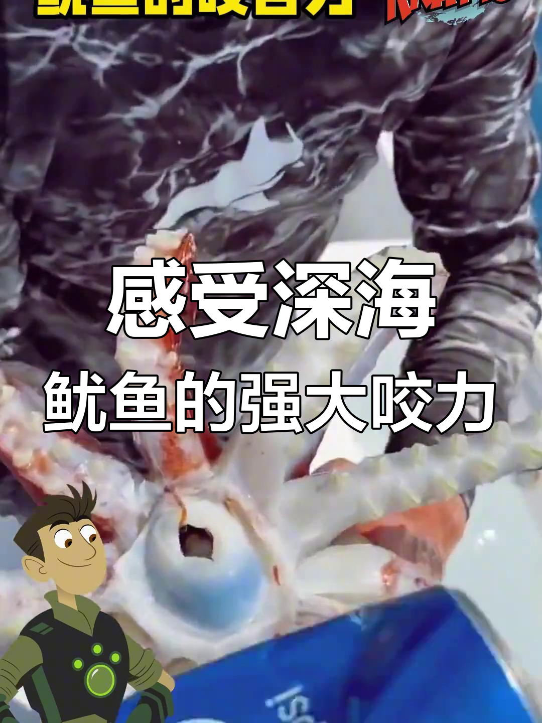 深海鱿鱼咬合力惊人,看看它如何“发飙”
