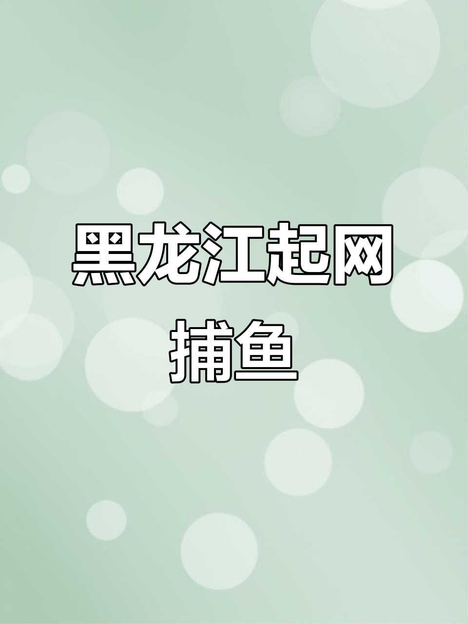 黑龙江捕鱼大作战,直播看网里有没有收获